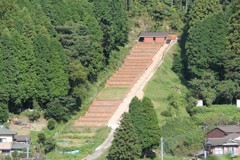 中尾上登窯跡