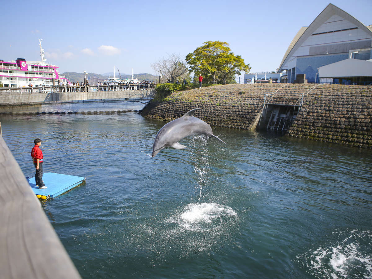 イルカ水路（いおワールドかごしま水族館）