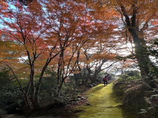 白野江植物公園