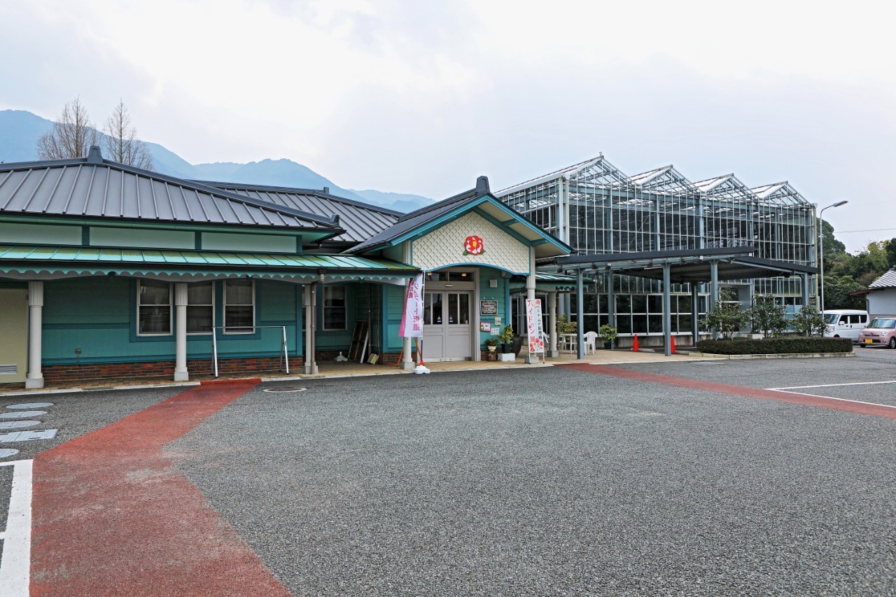 久留米市世界のつばき館