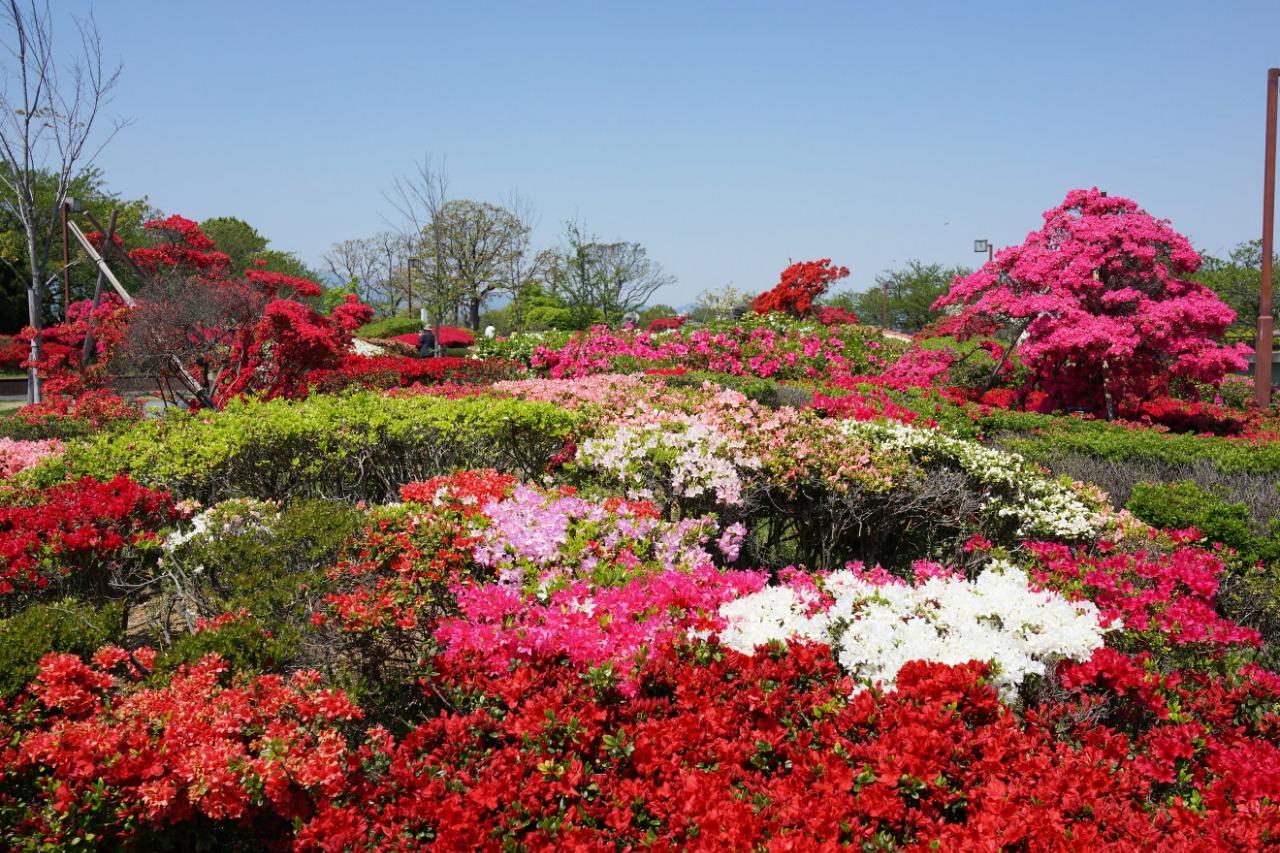 久留米百年公園