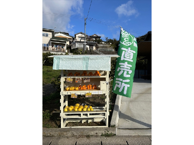 尾崎勝農園