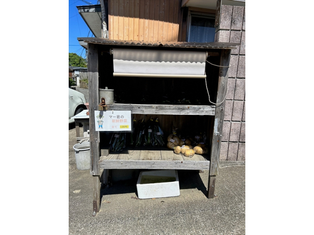 マー君の新鮮野菜