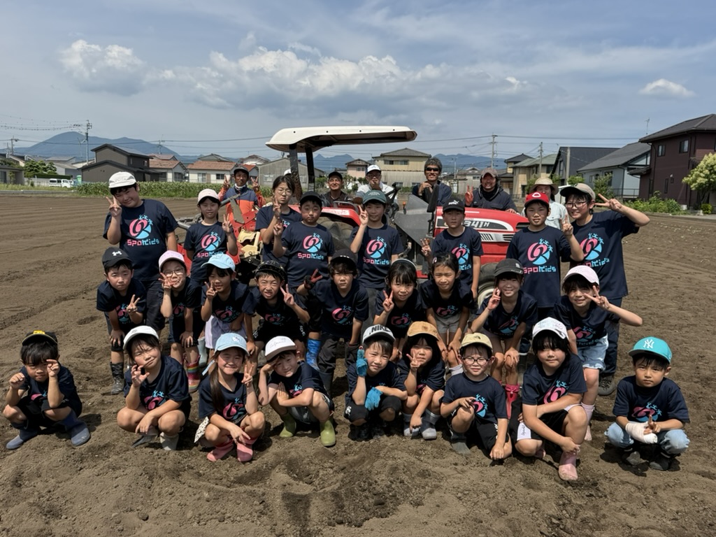 子ども達が植えたひまわり畑(JAながさき県央中青年部中央支部の食育活動)