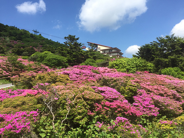 雲仙仁田峠