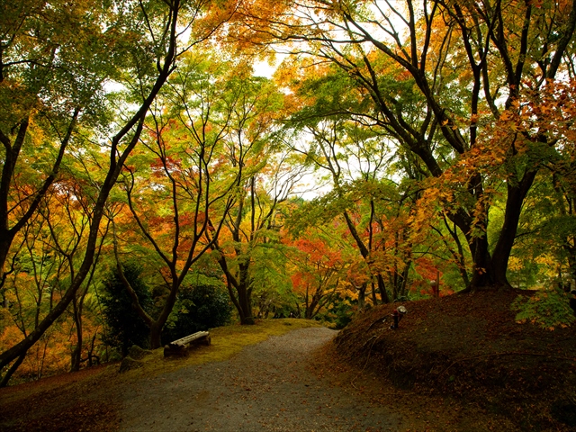 三十路苑
