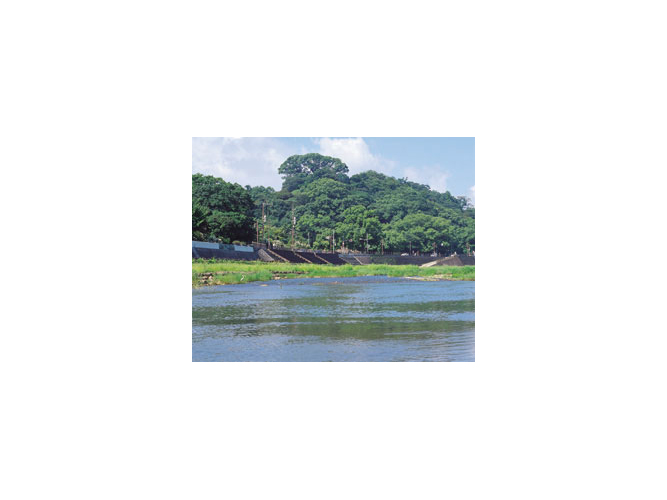 本明川